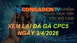 XEM LẠI ĐÁ GÀ CPC5 NGÀY 3/4/26